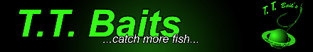 TTbaits